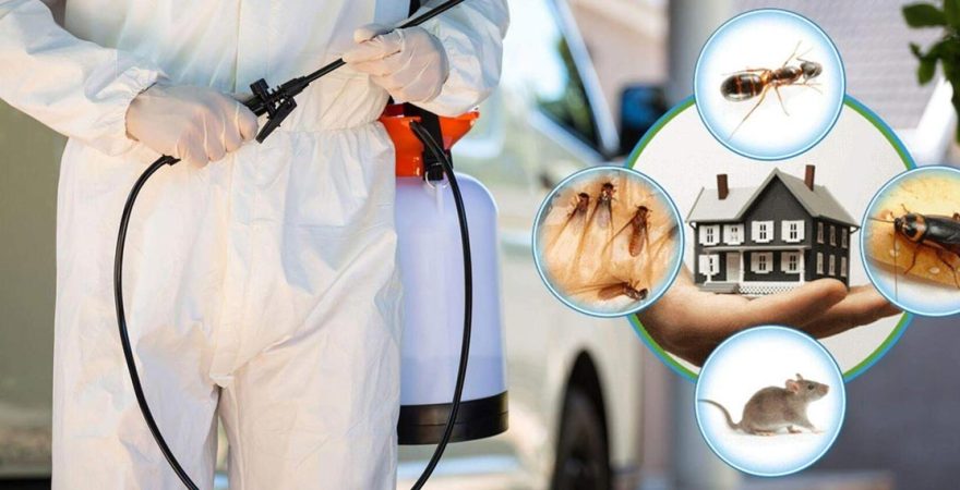 Bozkurt Böcek İlaçlama