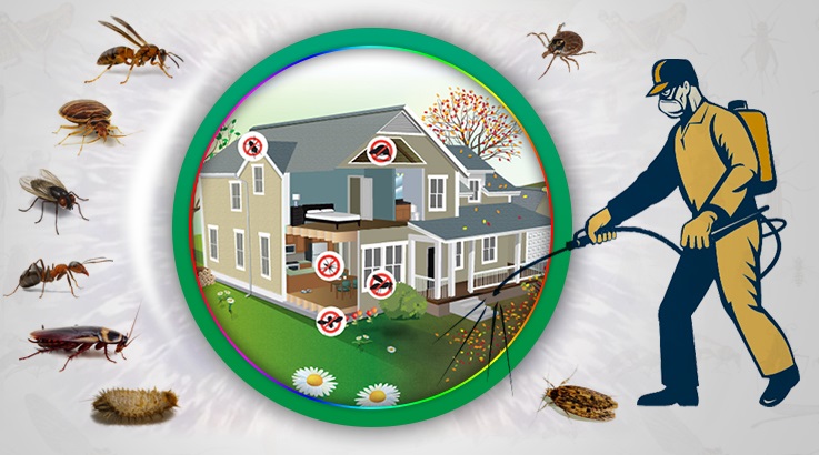 Bozkurt Böcek İlaçlama