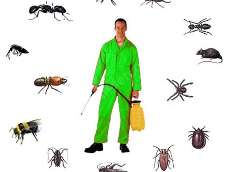 Bozkurt Böcek İlaçlama